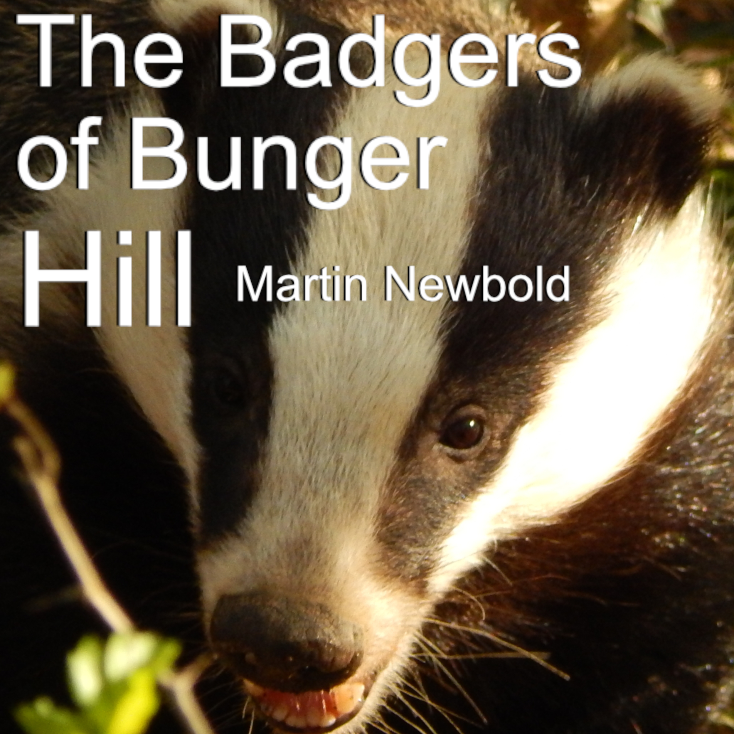 Audible update for readers who love to listen to books as Produced by Mary Giuliani- The Badgers of Bunger Hill.