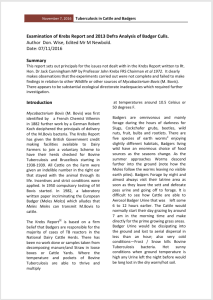 Examination of Krebs Report and 2013 Analysis of Badger Culls.